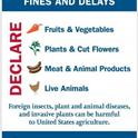 US Customs & Border Protection Notice About Bringing in Plants (Includes Seeds)