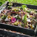 garden compost pile