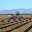 Planting onions in field comparison study of overhead and drip irrigation at the University of California’s West Side Research and Extension Center in Five Points, Calif.