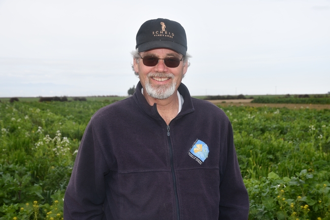 UCCE Master Gardener, Tim Sullivan, visiting CASI's NRI Project field in Five Points, CA.  March 1, 2019.