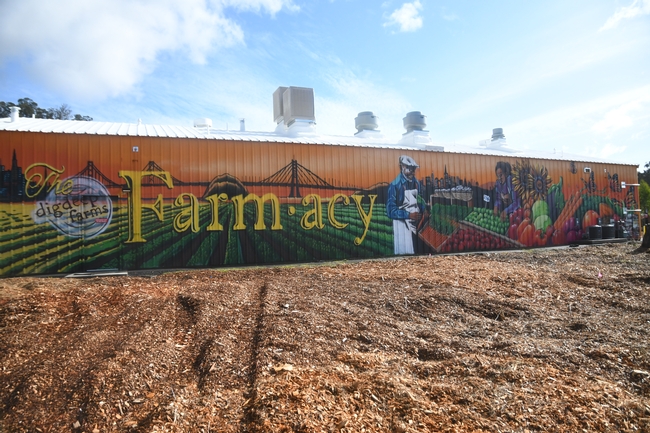 Dig Deep Farms Food Hub’s new location in San Leandro, CA, January 17, 2020