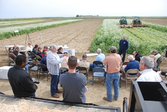 Cover crops, equipment for cover crop management, soil function, and cotton market initiatives will be topics discussed at the March 26th public educational field day at Teixeira & Sons LLC, at 11323 Erreca Road in Dos Palos, CA