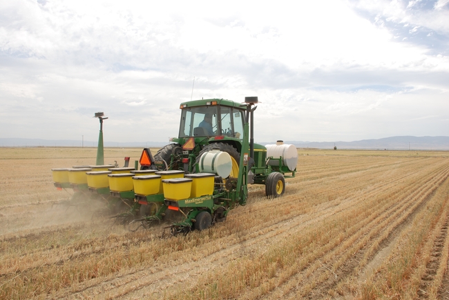 No-till seeding directly into prior crop residue, Five Points, CA, April 2007