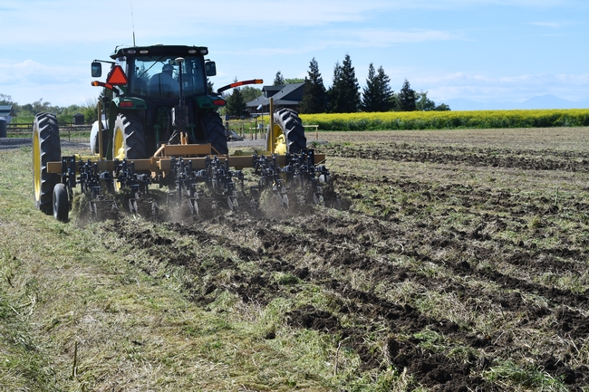 Reduced disturbance strip-tillage ahead of planting into mowed cover crop, Meridian, CA, April 2019