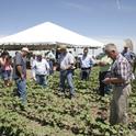 Jeff Mitchell, in the foreground, addresses participants from a conservation tillage research plot.