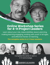 Flyer for Project Leader Workshop Series