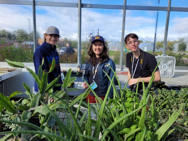 2 youth with baseball caps and one youth with glasses standing behind plants in a greenhouse