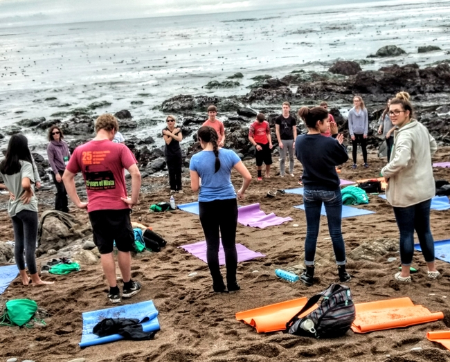 Group yoga on the beach