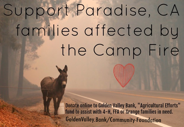 Support Paradise, CA families affected by the Camp Fire