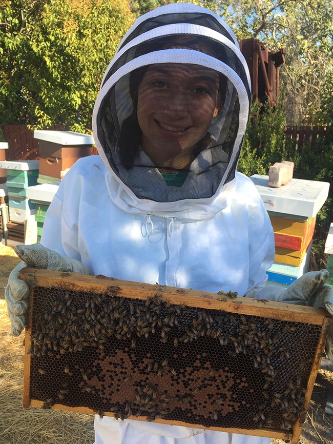 Capriana in her bee suit, surrounded by bees