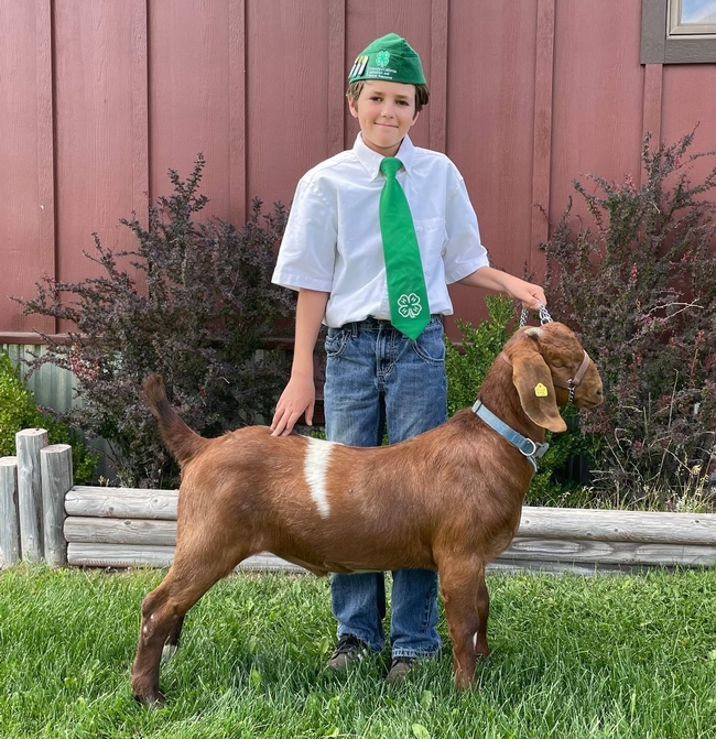 Everett of Sierra Valley 4-H with boar goat Oreo (2nd year)