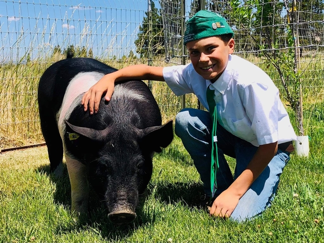 Bennett of Echo 4-H with Hampshire cross pig Jimmy Dean