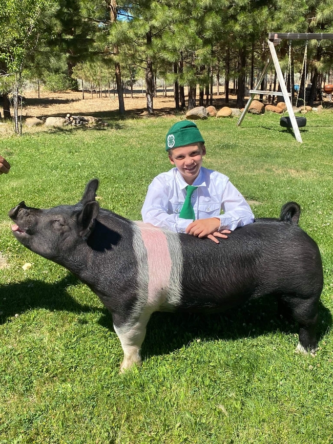 James of Echo 4-H with Hampshire cross pig Sweet Pea aka Sweets