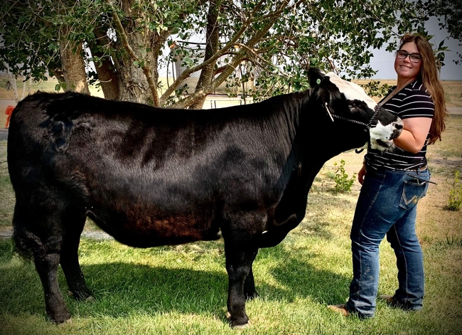 Kristin of Sierra Valley 4-H with steer Chunk