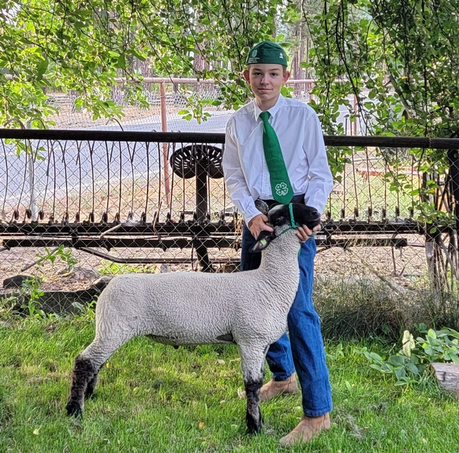 Ronnie of American Valley 4-H with whether lamb Buddy