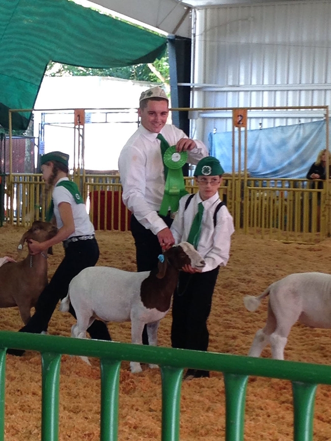 Author with Tommy T as an aide during goat showmanship