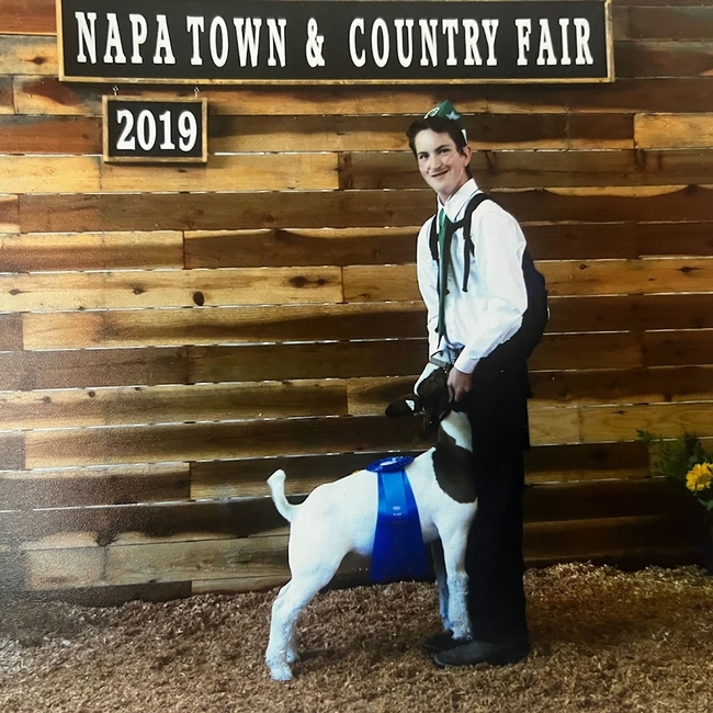 Author with first place ribbon on goat in front of Napa Town & Country Fair 2019 sign