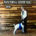 In 2019 I won first place in showmanship, a feat I never believed would happen!