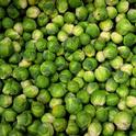 Brussels Sprouts