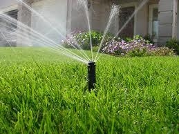 Sprinkler watering a lawn