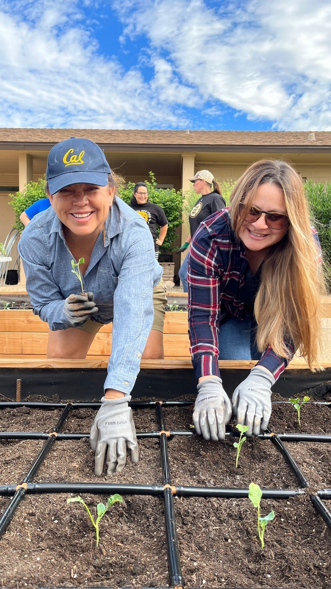 UC Master Gardeners of Imperial County plant seedlings. Photo courtesy of Kristian Salgado.