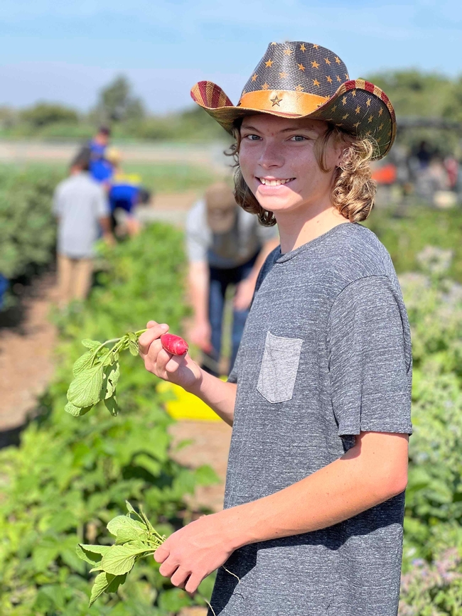 Gavin Olsen picks vegetables during a GROW field trip to South Coast REC. Photo courtesy of Gavin Olsen.