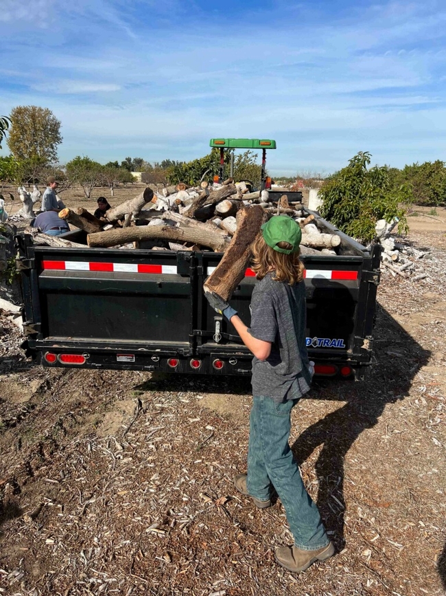 Olsen discards tree logs to help clear a field at South Coast REC. Photo courtesy of Gavin Olsen.