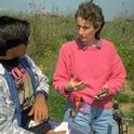 Janet Caprile explains procedure for releasing parasitic wasps to destroy moth eggs.