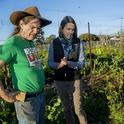 Jennifer Sowerwine discusses plantings with Jon Hoffman, farm manager of the UC Gill Tract Community Farm in Albany. (Photo: Saul Bromberger)