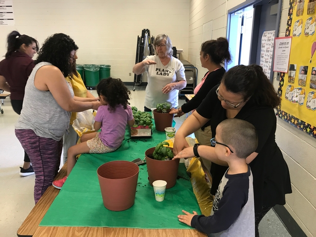 UC Master Gardener's Dana Young - the Plant Lady - helping EFNEP participants learn about planting herbs!