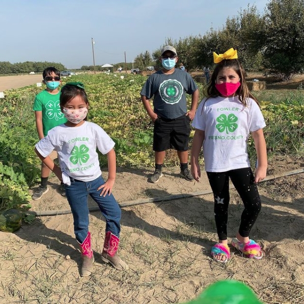 The UC Kearney Agricultural Research and Extension Center organized a socially distanced pumpkin growing contest during 2020 for local 4-H members, providing opportunities for enrichment and engagement.