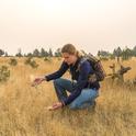 UCCE Modoc County director Laura Snell looks for African wire grass, a non-native invasive annual grass populating western rangelands. Photo by Charles Post