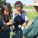 At UC South Coast Research and Extension Center, students get a taste of the diversity of agricultural careers, and of crops such as the sweet limes being sampled here in early 2020. Photo courtesy of UC South Coast REC