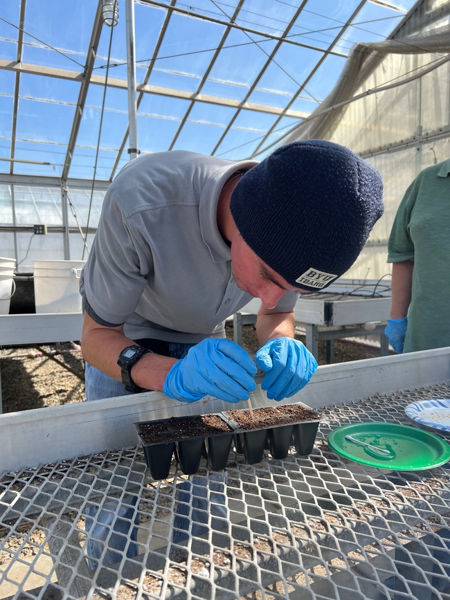 Young man makes holes in the soil of seedling trays.