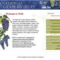 The NGR Main Page