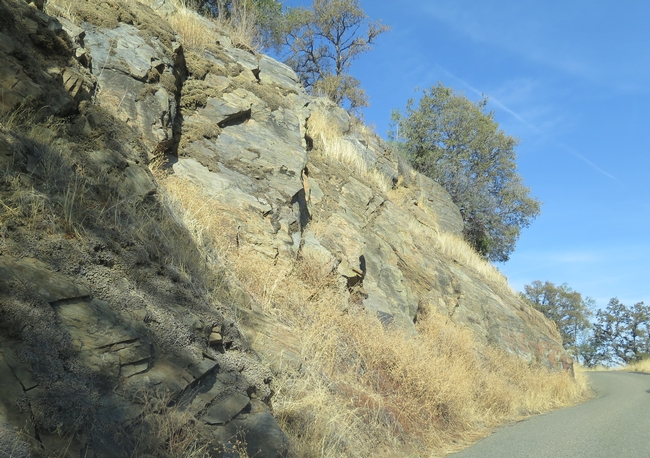 A picture of a road cut showing alot of large rocks in the soil slope.