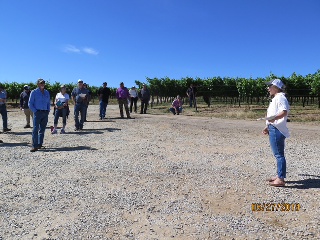 A woman speaking to a crowd of people in a vineyard.