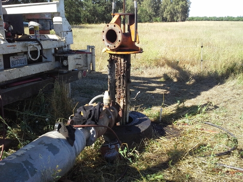 Bee Hive on the Pump