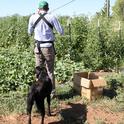 farmer and dog