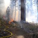 Prescribed fire in the Sierra Nevada mixed conifer forest.