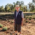 Master Gardener Richard Gillespie on his 'Lavender Fresh Farm' in western Fresno. (Photo: Sarah del Pozo)