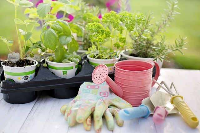 Now is the time to plant herbs in your garden. With a little irrigation, you will have an abundance of fresh herbs to season summer cooking and canning. (Photo: Jill Wellington, Pixabay)