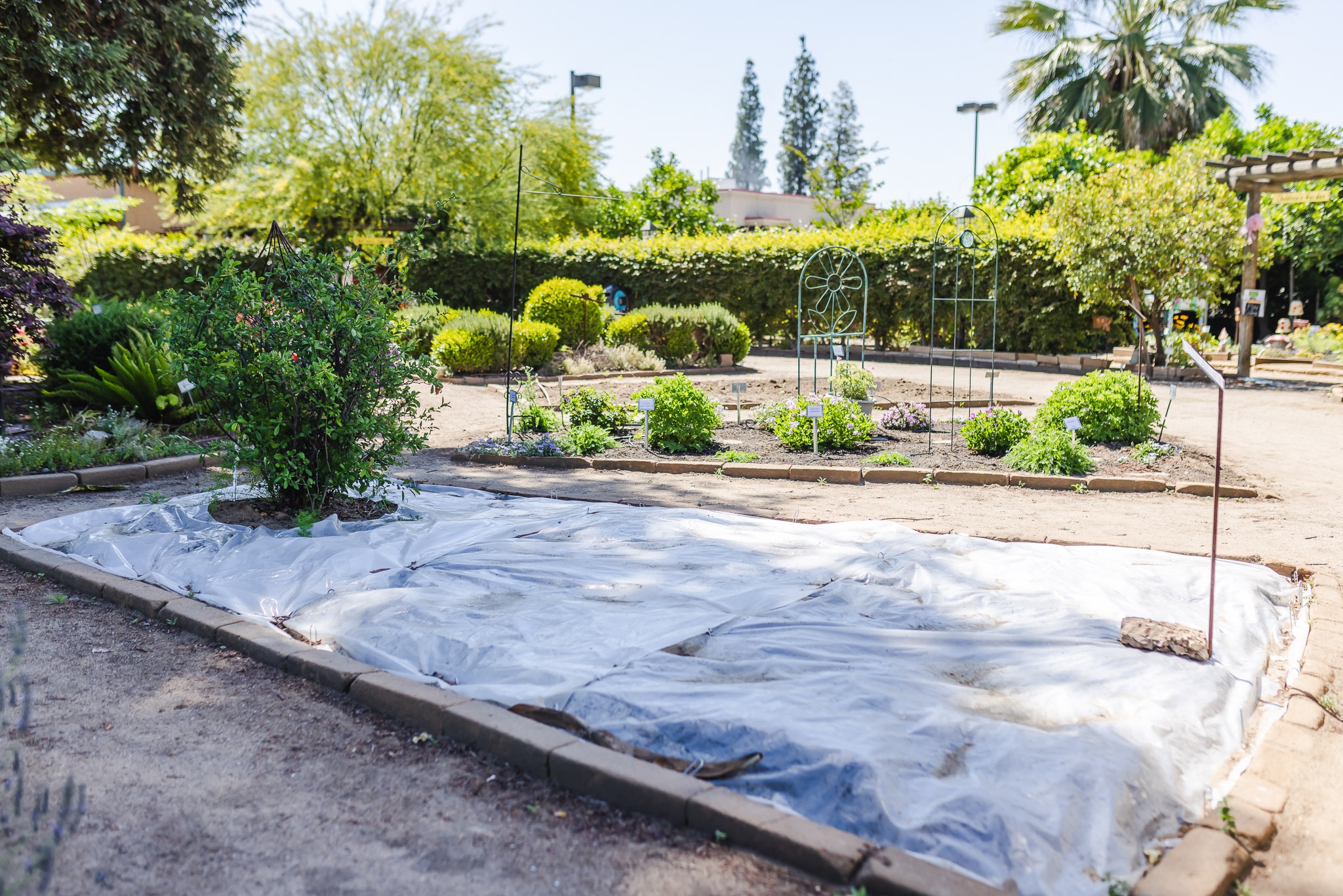 Use soil solarization to prepare garden for success - Fresno Gardening ...