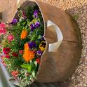 Plant flowers in the garden or near the garden to attract pollinators. Here a large pot of flowering plants is adjacent to the garden bed. (Photo: Ann Edahl)