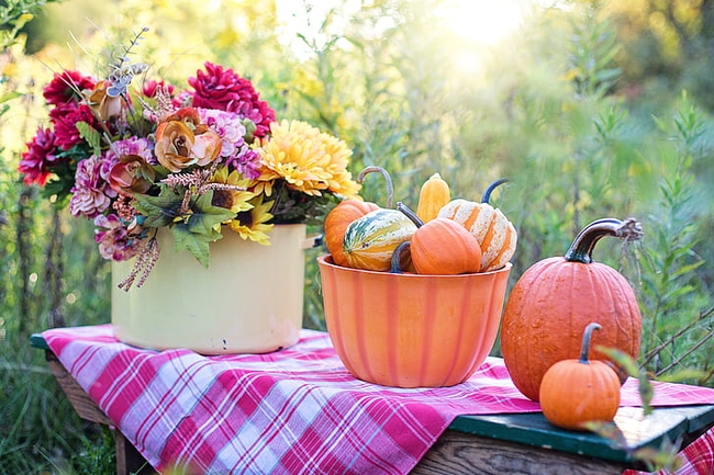 Harvest fall foliage and vegetables to make an autumn centerpiece. (Photo:  PickPic)