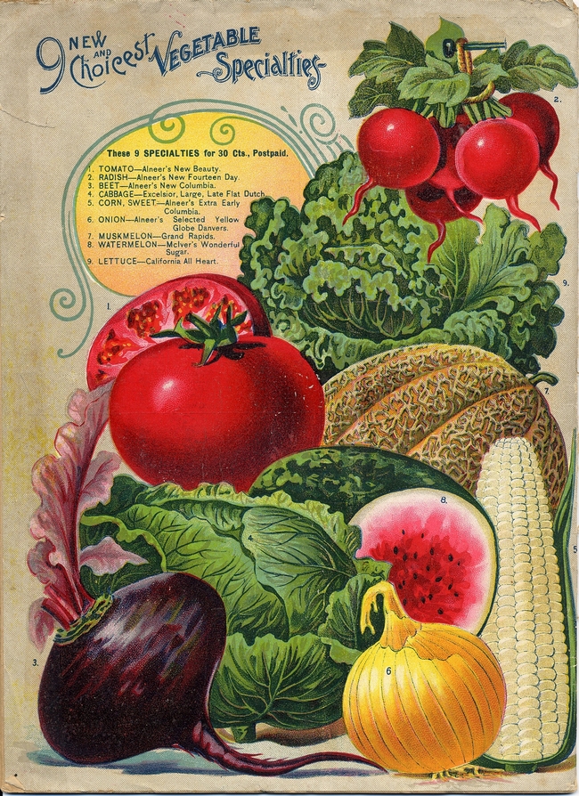 Vintage seed catalog with images of fruits and vegetables.