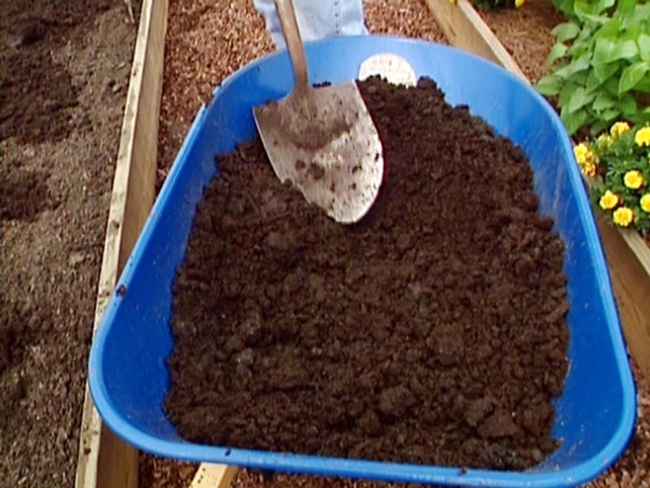 FTG Potting Soil