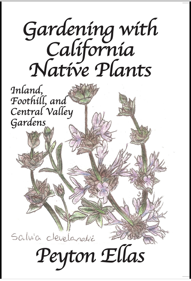 Growing Knowledge Image 2 Gardening with California Native Plants
