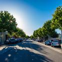 Tree canopy provides shade in downtown Tracy