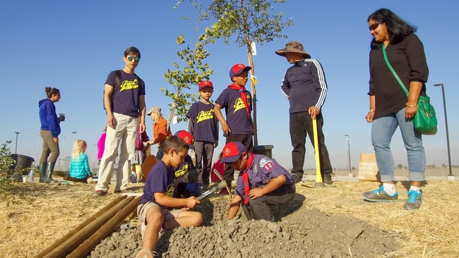 Arbor Day 2019 at Legacy Fields, Tracy